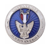 Desafio personalizado Metal American Eagle Boy Scout Distinguished Eagle Coins