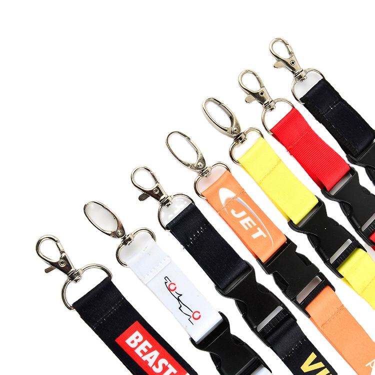 2023 Hot Fashion Custom Logo Keychain Polyester Dolyards Witht Holder Fashion Neck Strap