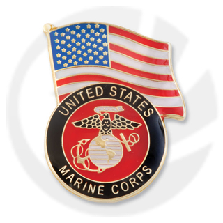 Eagle Globe and Anchor e USA Flag Pin