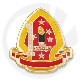 1º Batalhão 2º pino de fuzileiros navais